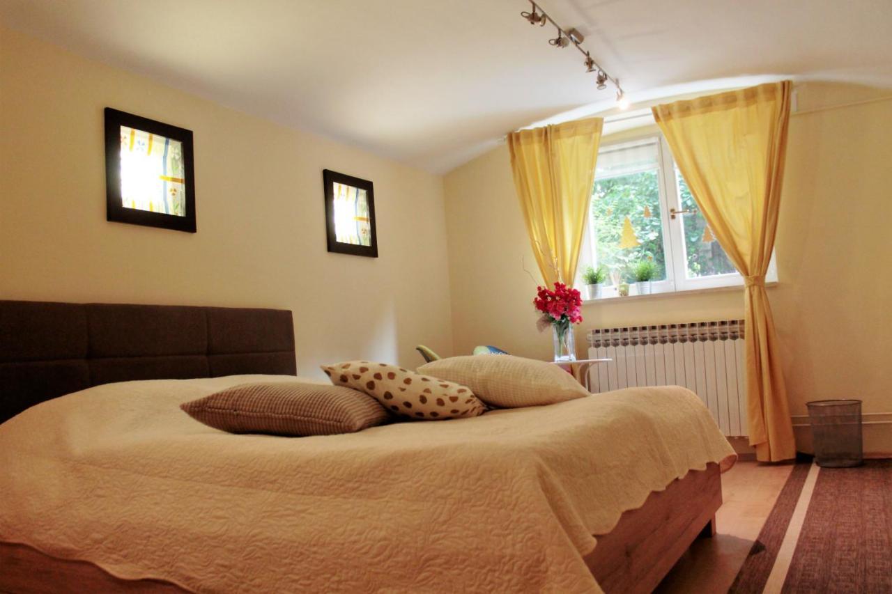 Nattache Basment Appartamento Zagabria